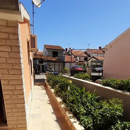 Edo